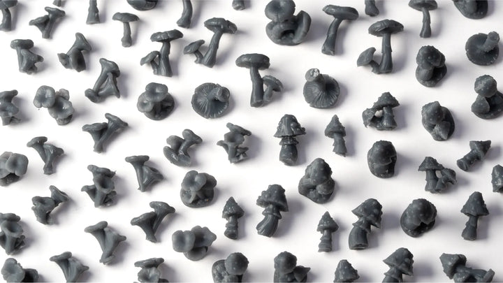 Forest Mushrooms Basing Bits - Gamers Grass (GGBB-FM)